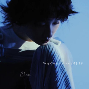 美国人和驴日逼
